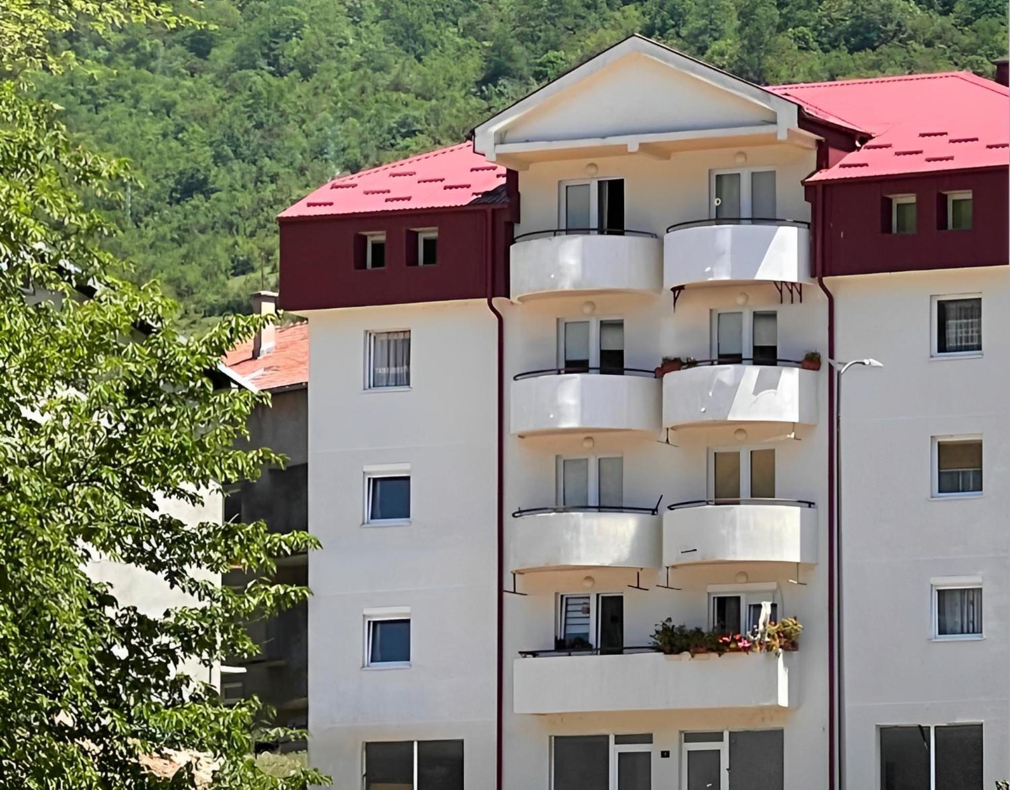 Zora Apartment Pluzine Exterior photo